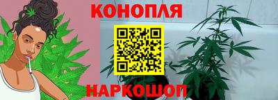 индика Брянск