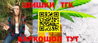 индика Брянск