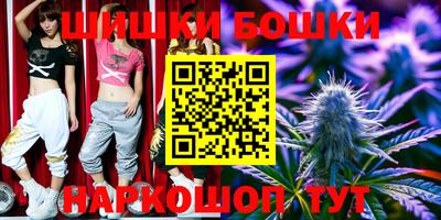 индика Брянск