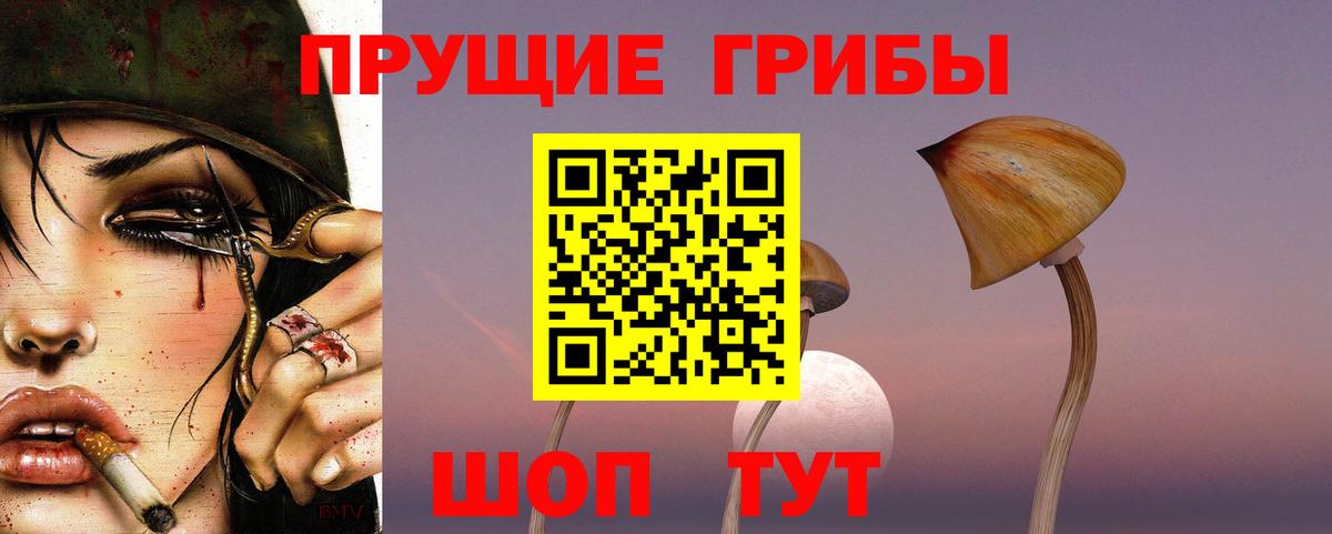 Псилоцибиновые грибы мицелий  Вход с VPN  Астрахань  Галлюциногенные грибы MAGIC MUSHROOMS 